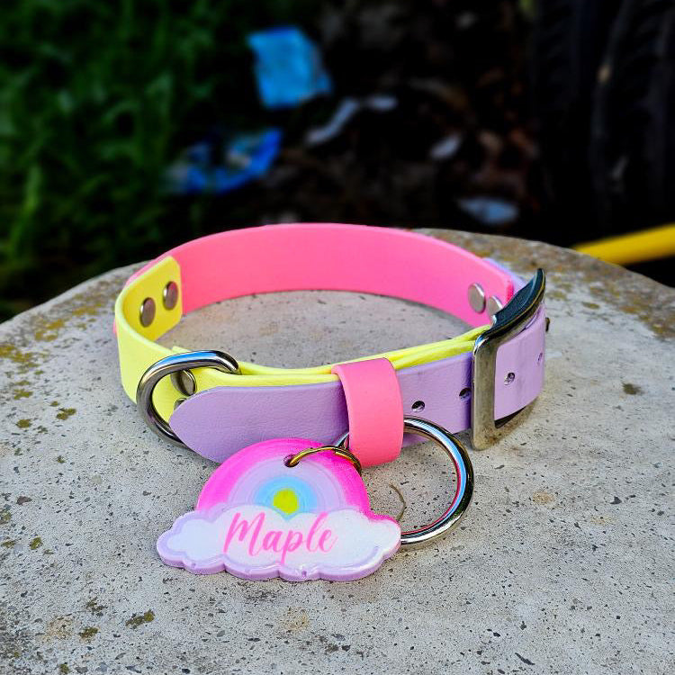 A multicolored Biothane dog collar with a pink, yellow, and green tone, displayed on a rock with a personalized collar tag that reads &