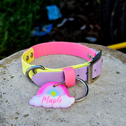 A multicolored Biothane dog collar with a pink, yellow, and green tone, displayed on a rock with a personalized collar tag that reads &