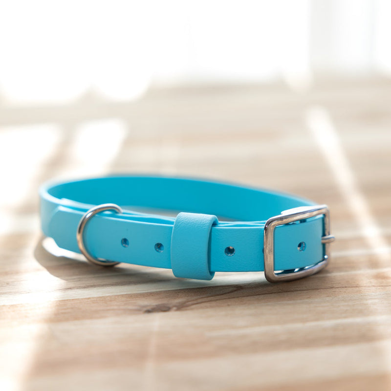 waterproof-blue-biothane-dog-collar