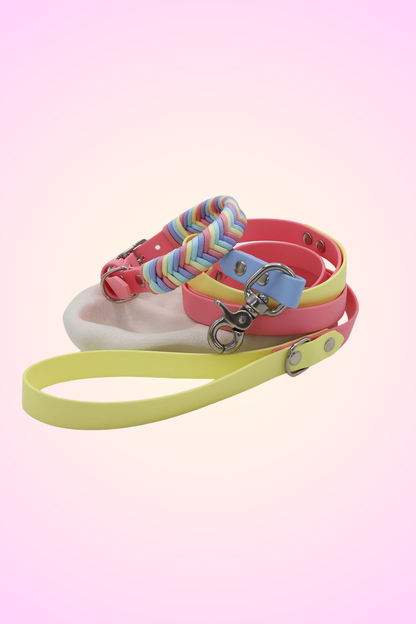 A multicolored striped dog collar with a stainless steel buckle and matching lead