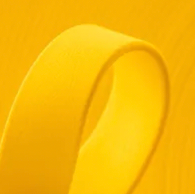 Long Line - BioThane® Lead