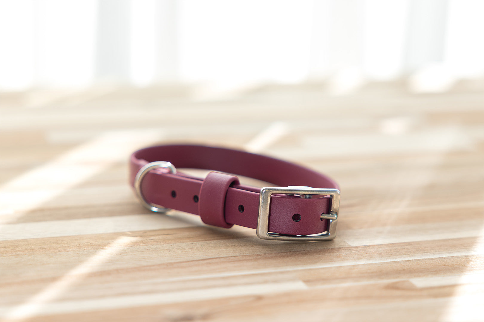 burgundy-biothane-dog-collar-stainless-steel-hardware