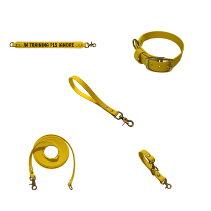 Complete Dog Training Bundle