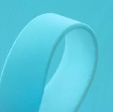 Long Line - BioThane® Lead