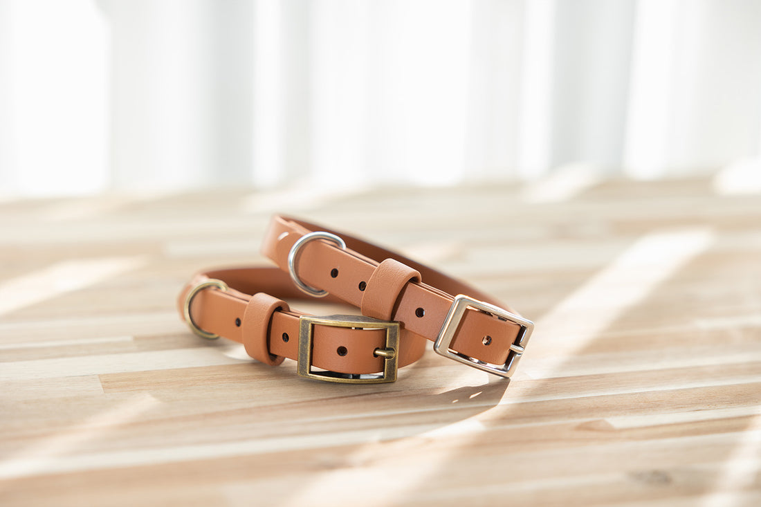 light-brown-biothane-dog-collars