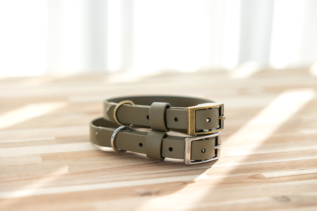 moss-biothane-dog-collars