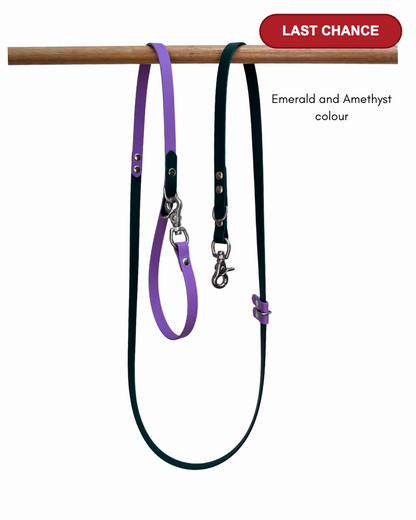 Emerald and amethyst 5 in 1 Biothane Dog Leash - Last Chance