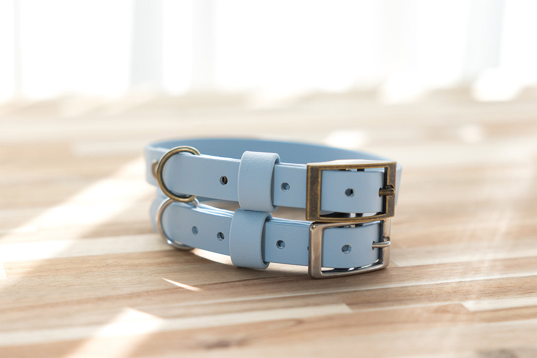 pastel-blue-biothane-dog-collar-antique-brass-stainless-steel-hardware
