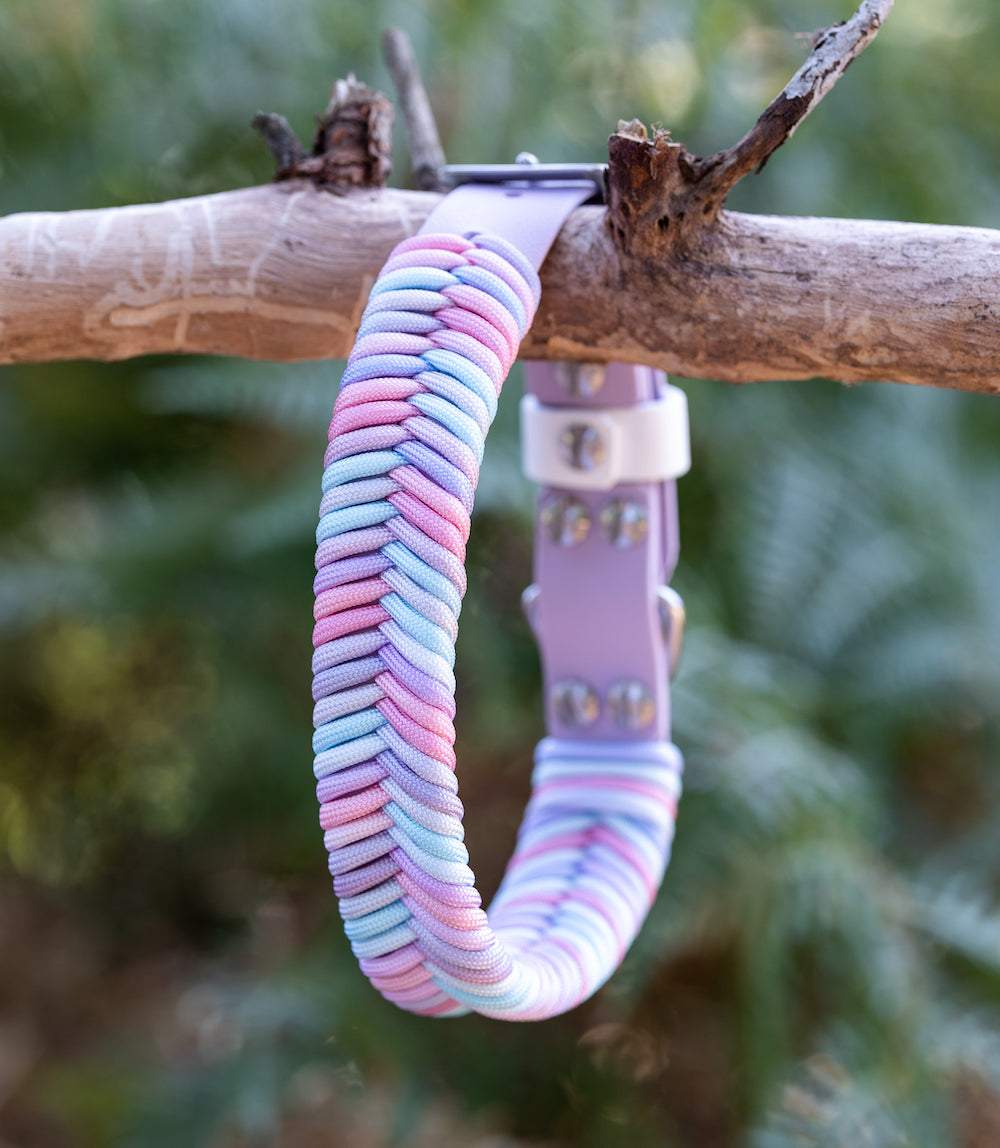 pastel-wildwoods-paracord-dog-collar