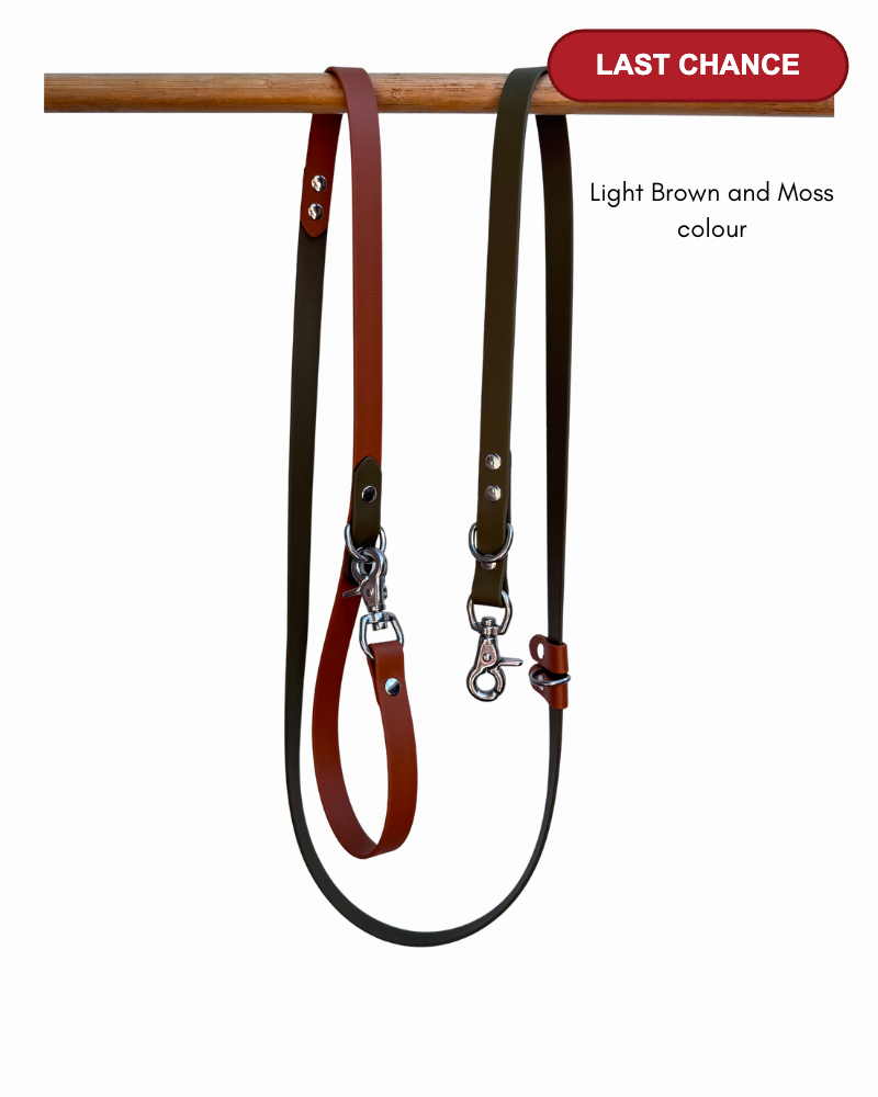 Light Brown and Moss Biothane 5 in 1 Dog Leash - Last Chance