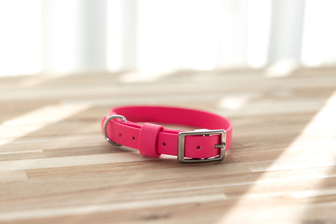 Waterproof Dog Collar - BioThane® Pink