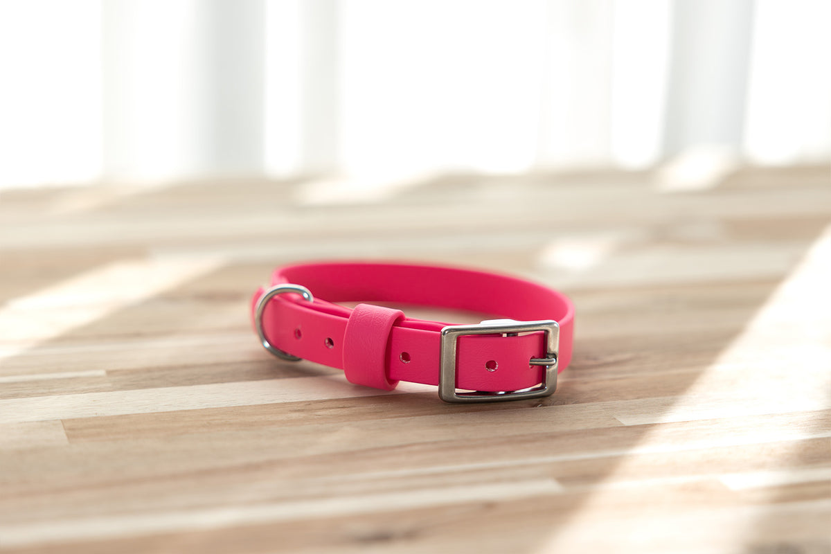 Waterproof Dog Collar - BioThane® Pink