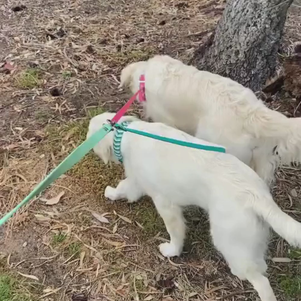 Leash Splitter