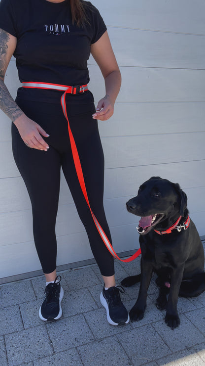 Reflective Waist Lead