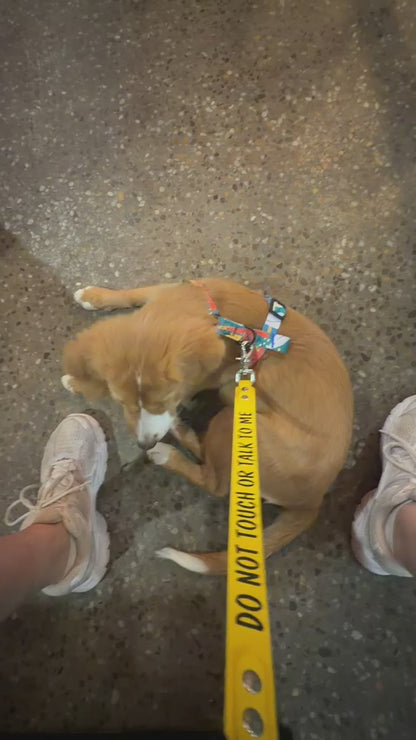 Leash extender
