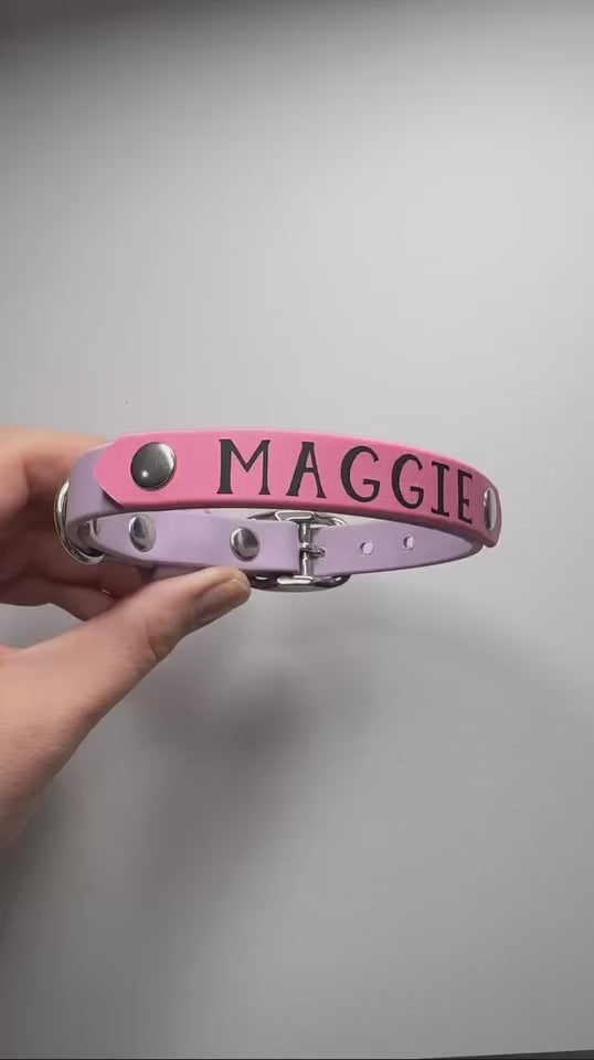 Pastel Purple Biothane Dog collar with pastel pink name badge