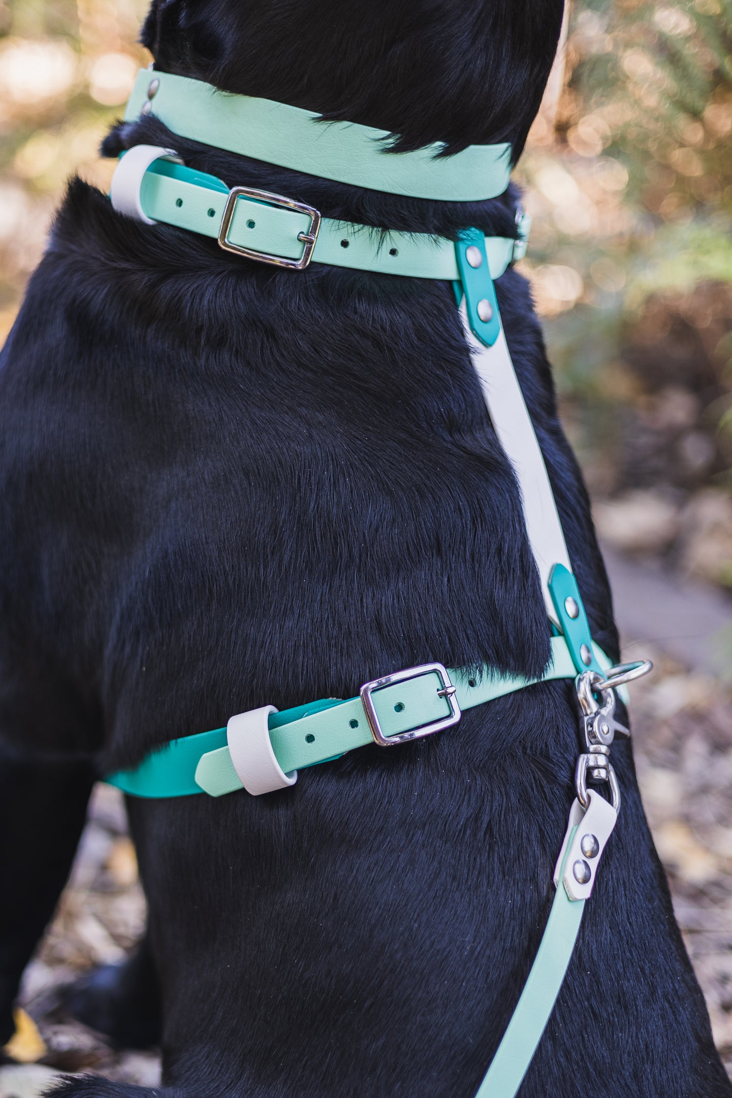 Pastels BioThane Dog Harness