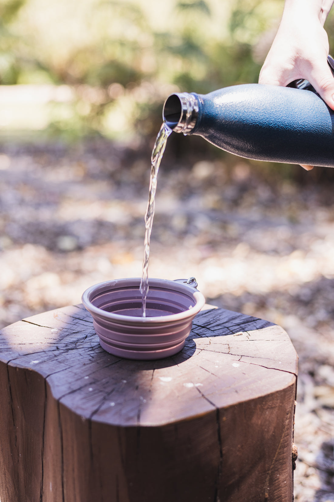 Quick Bite Collapsible Travel Pet Bowl