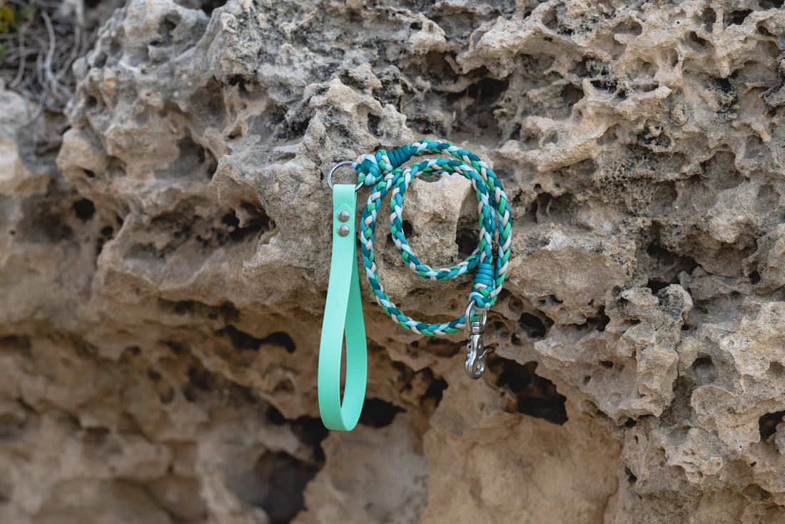 Pastel Paracord Lead