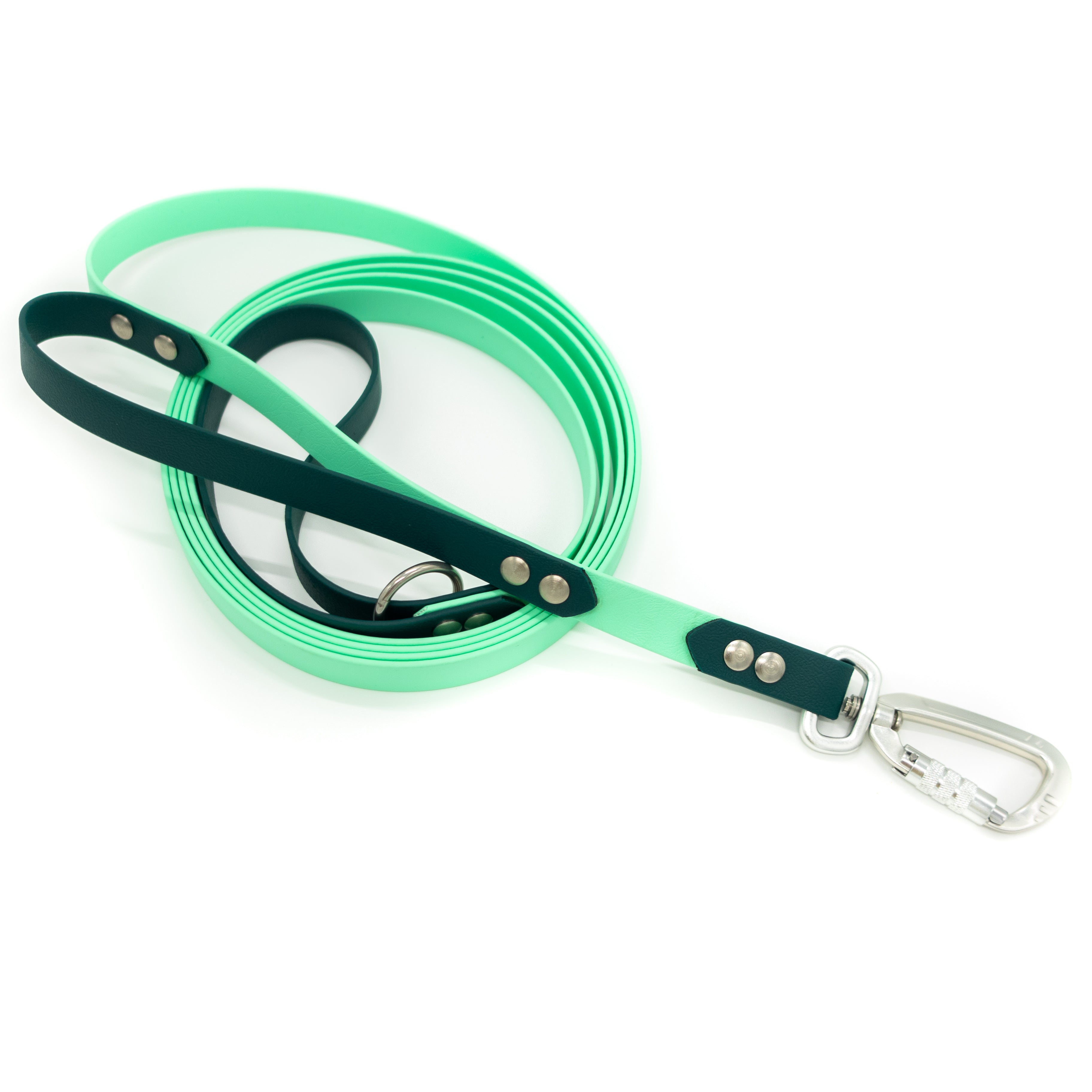 Two tone BioThane lead with swivel carabiner