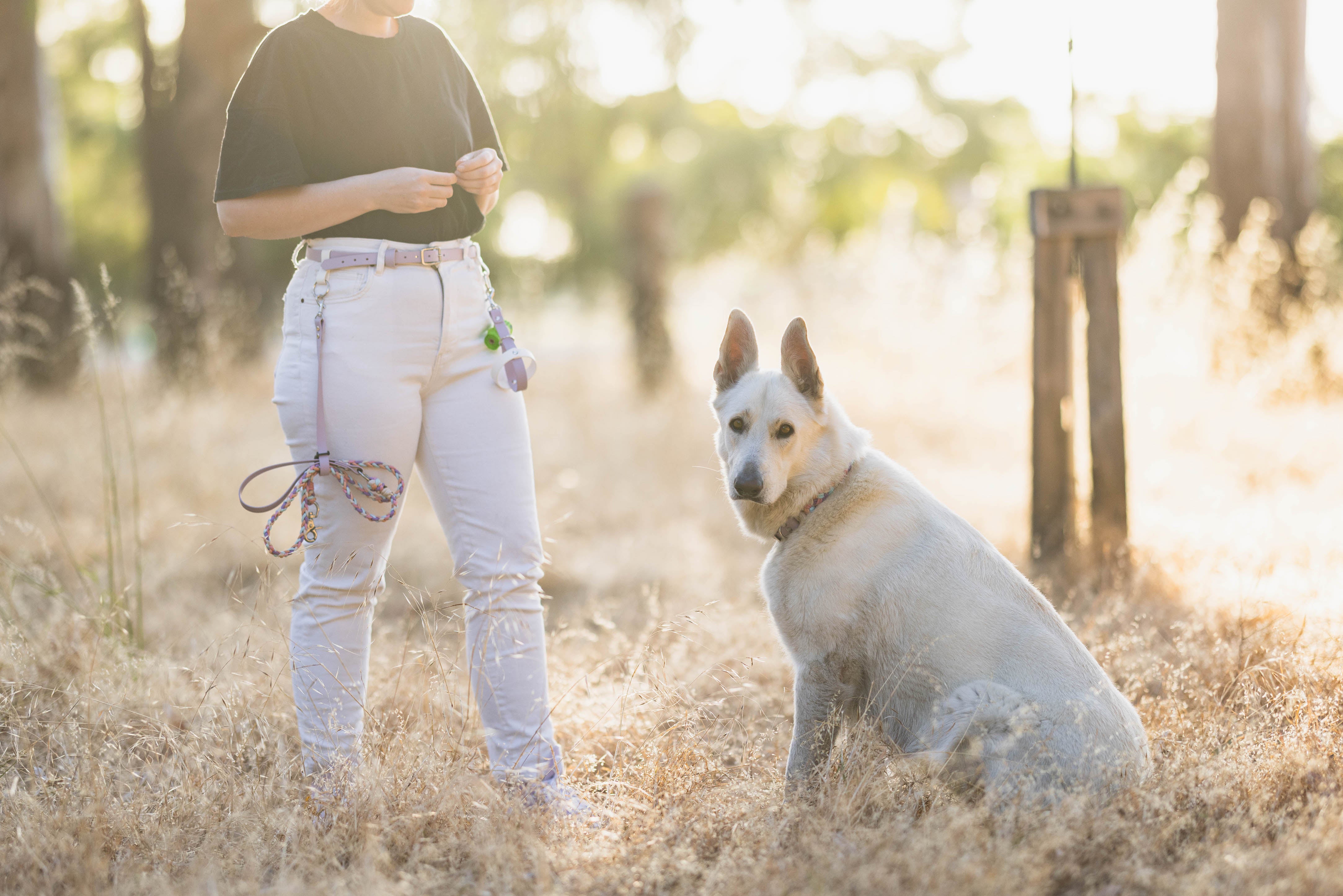 Dog walking 2024 utility belt