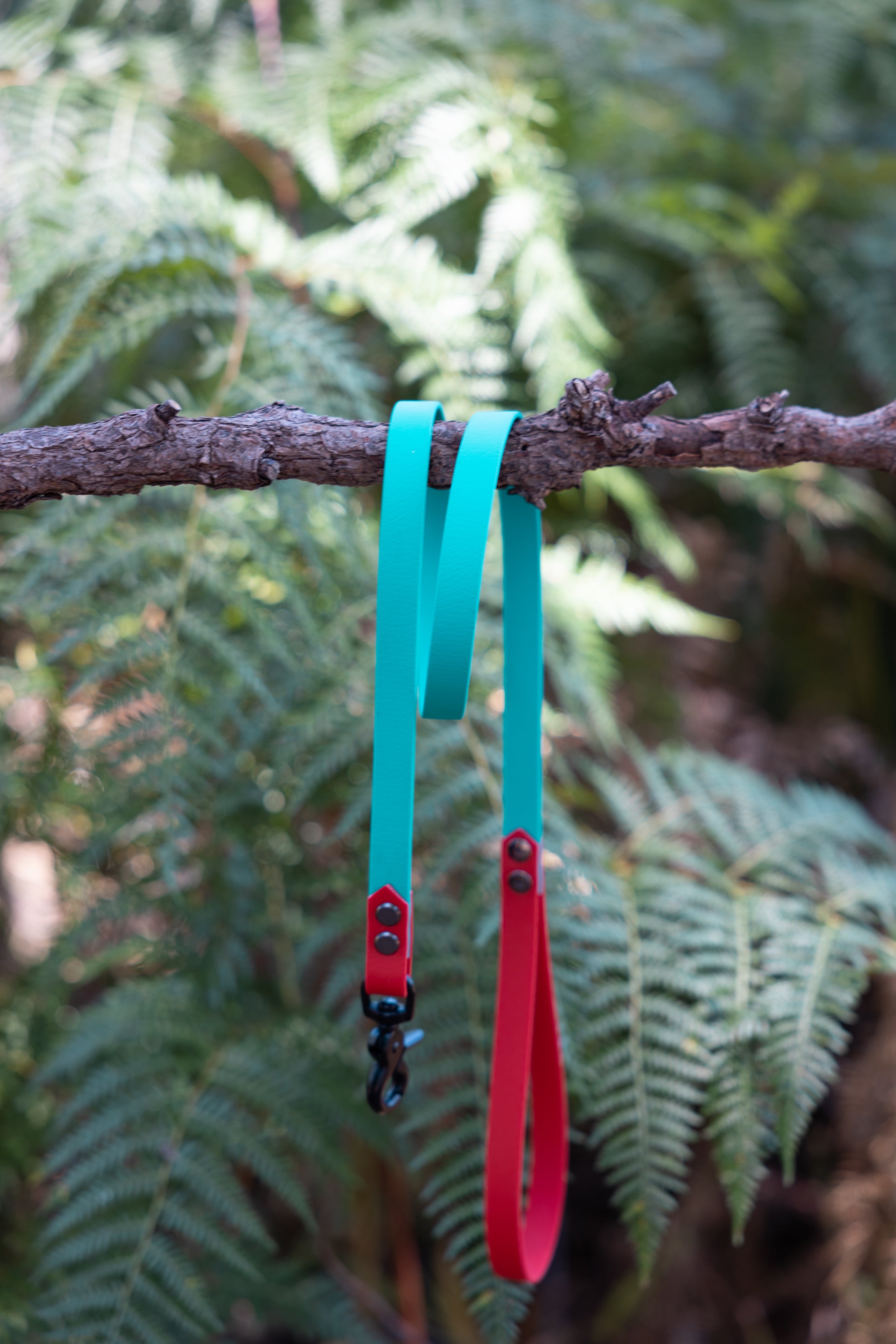 Red and Turquoise Lead