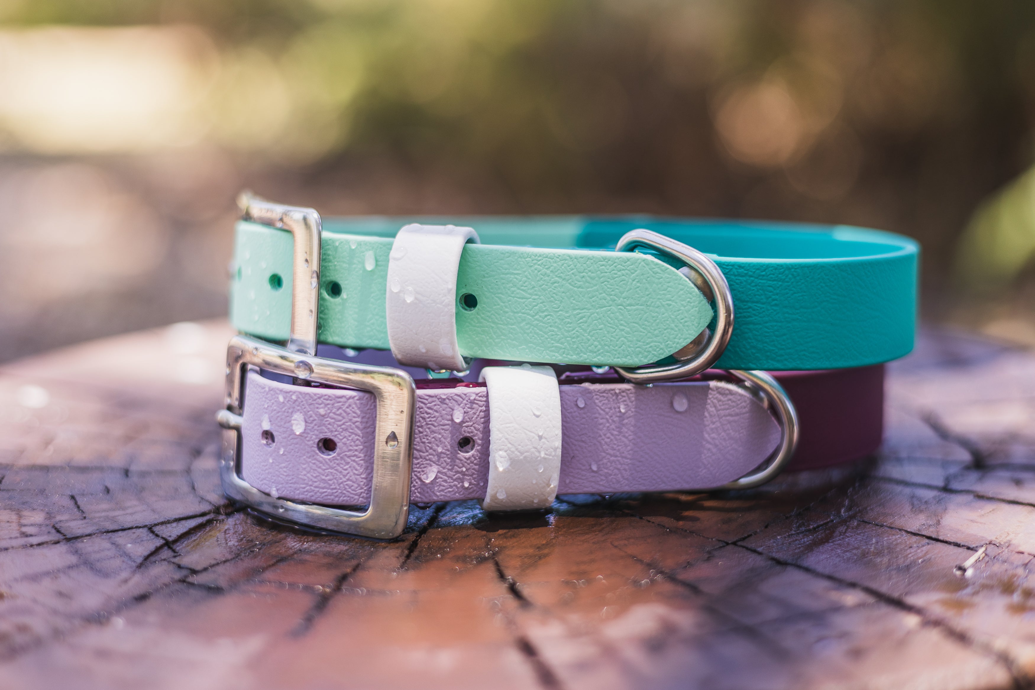 Pastels Biothane Collar