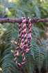 Custom Paracord Lead Wildwoods